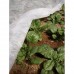 Агроволокно/спанбонд, біле, Agreen, щільність 30г/м.кв, ширина 3,2м, довжина 25м